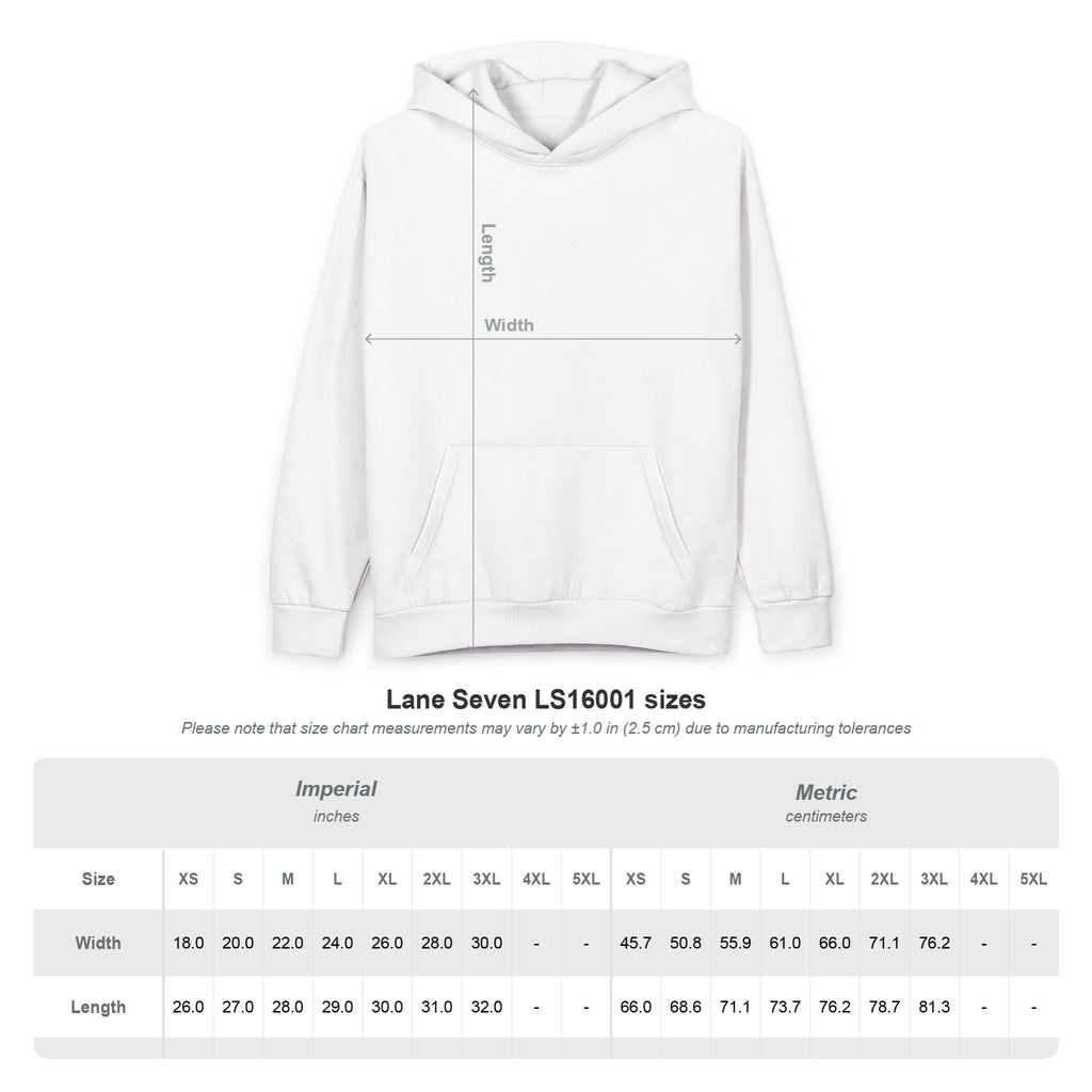 Dad Coach Protector Provider Hoodie — Men's Pullover