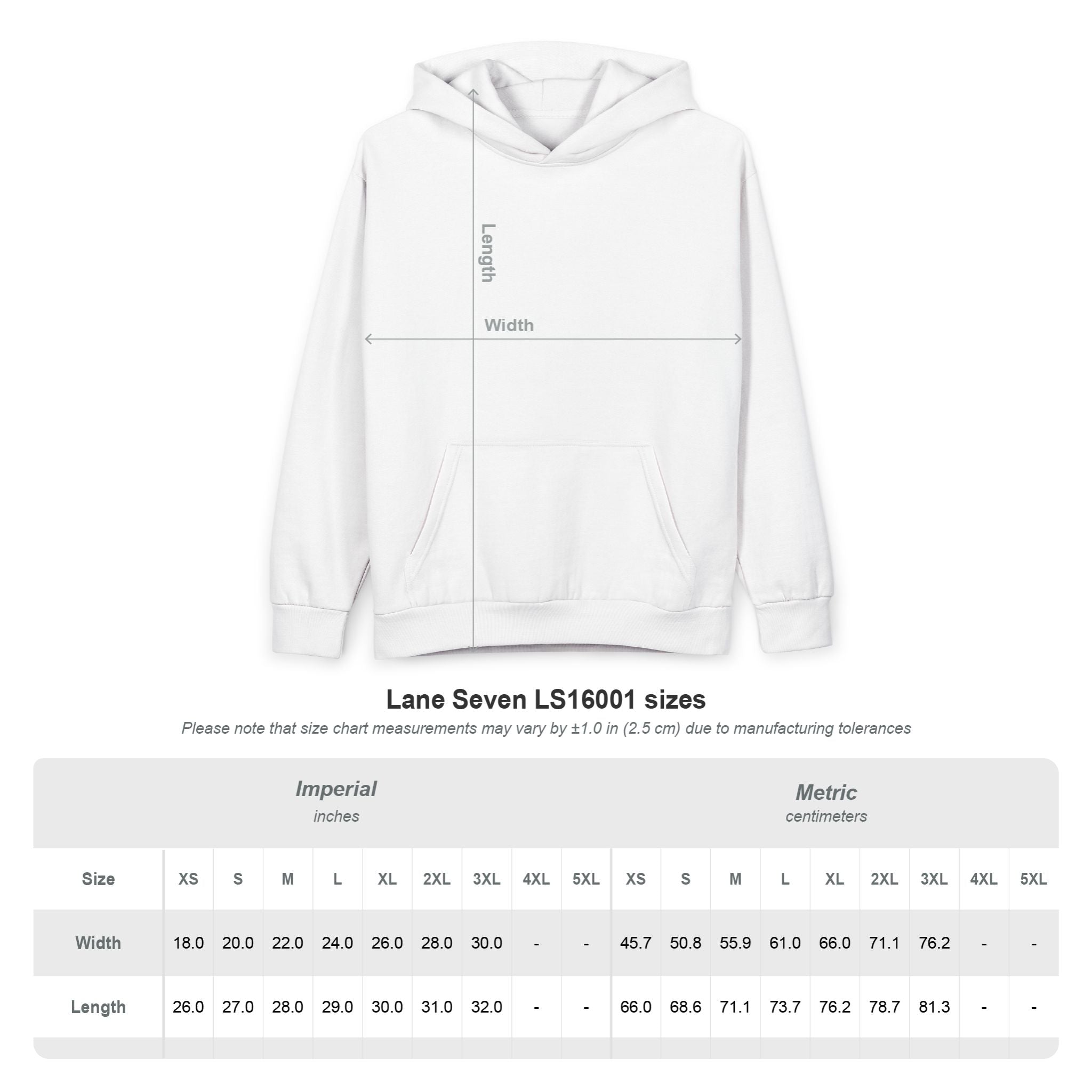 Dad Coach Protector Provider Hoodie — Men's Pullover