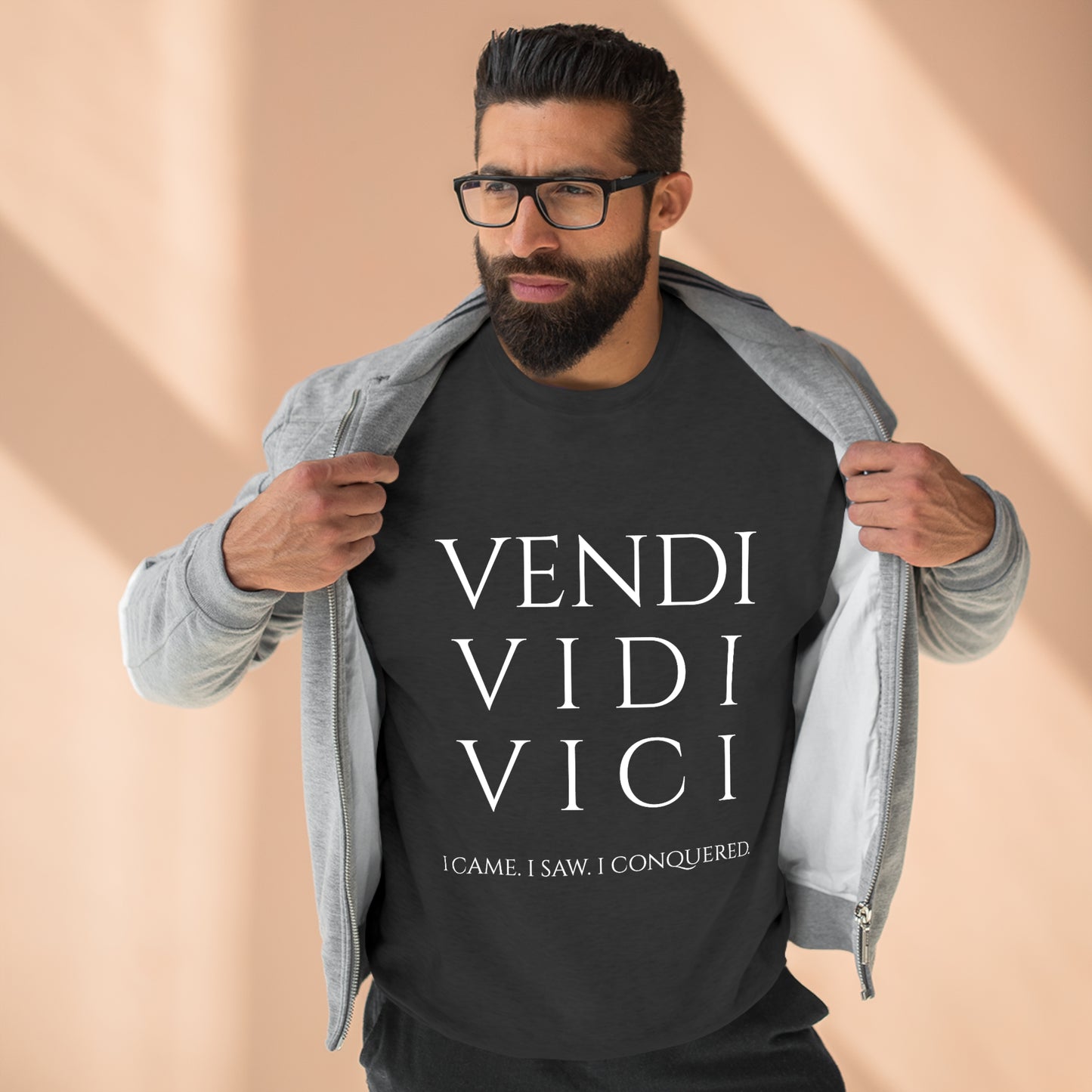 VENI VIDI VICI - Unisex Premium Crewneck Sweatshirt - Gift for Her or Him, Novelty Sweatshirt, Streetwear Sweatshirt