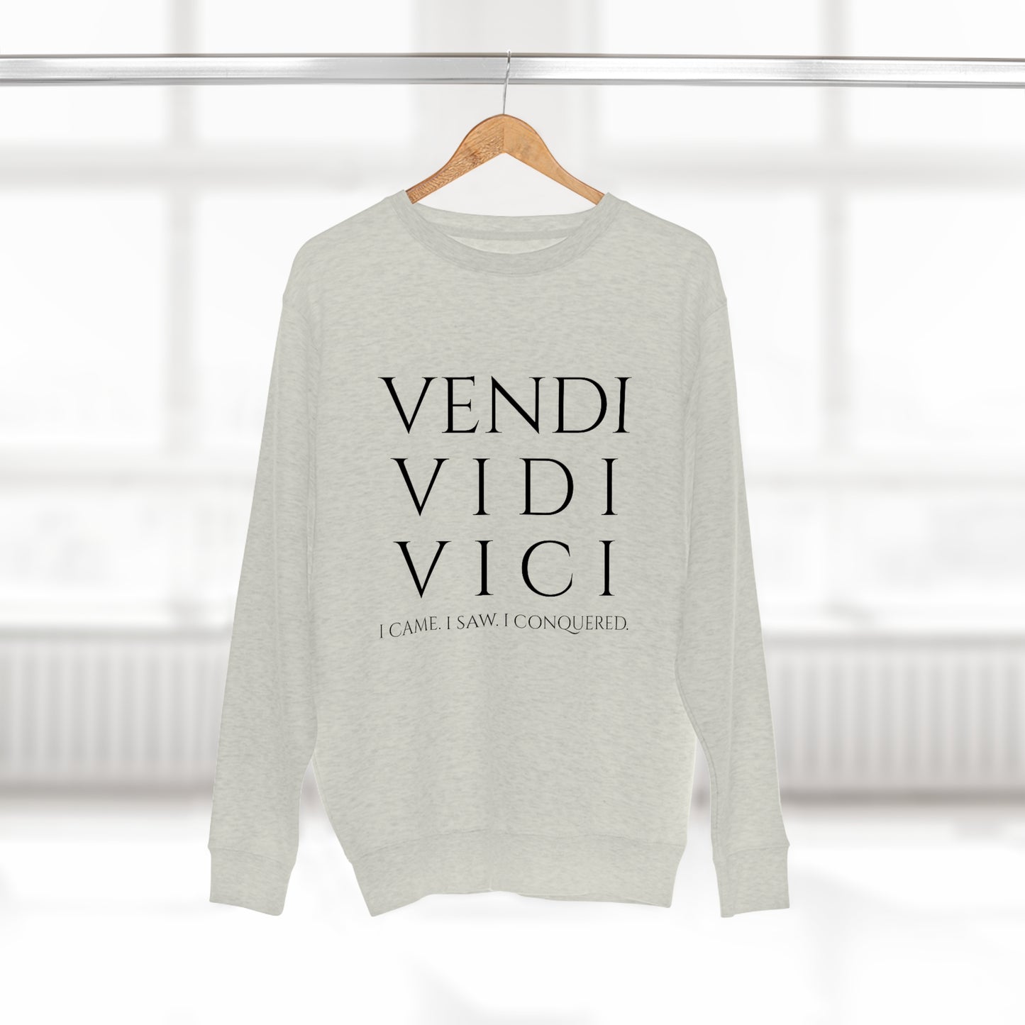 VENI VIDI VICI - Unisex Premium Crewneck Sweatshirt - Gift for Her or Him, Novelty Sweatshirt, Streetwear Sweatshirt