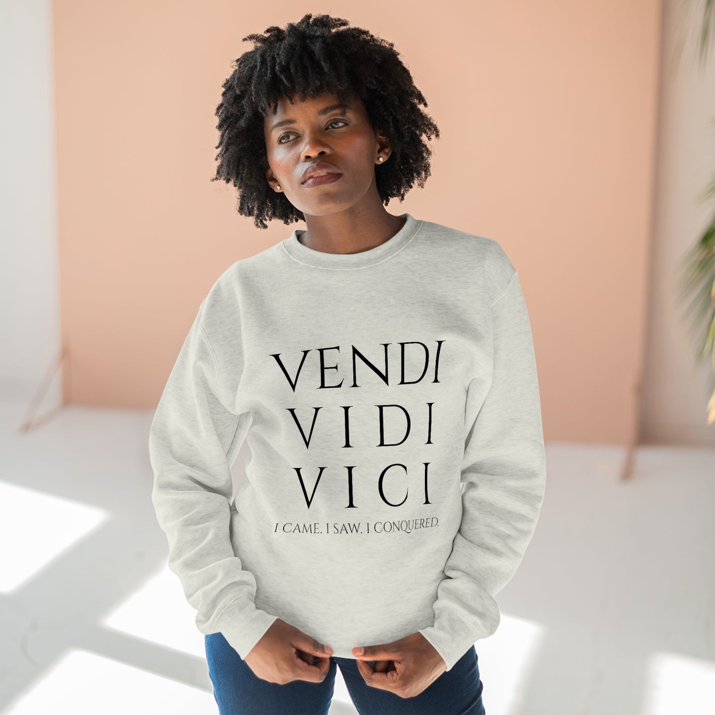 VENI VIDI VICI - Unisex Premium Crewneck Sweatshirt - Gift for Her or Him, Novelty Sweatshirt, Streetwear Sweatshirt