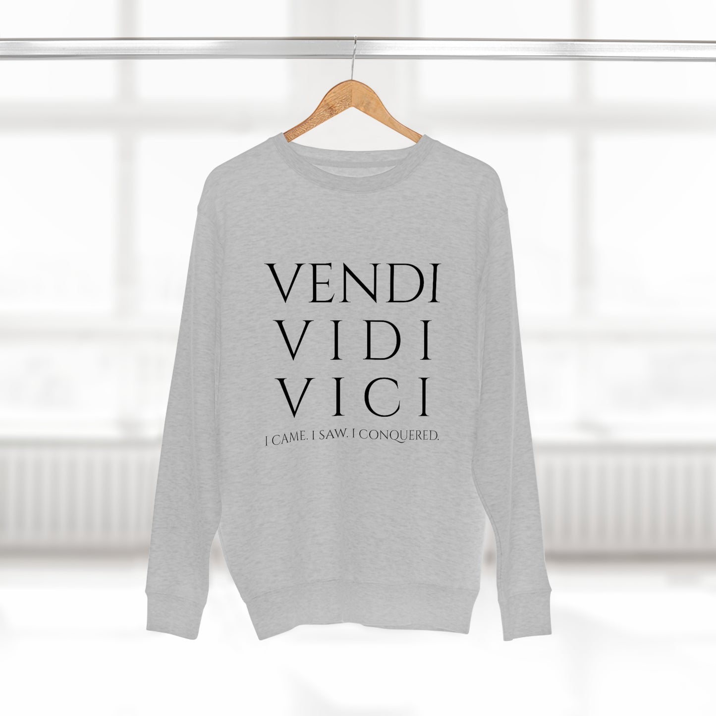 VENI VIDI VICI - Unisex Premium Crewneck Sweatshirt - Gift for Her or Him, Novelty Sweatshirt, Streetwear Sweatshirt