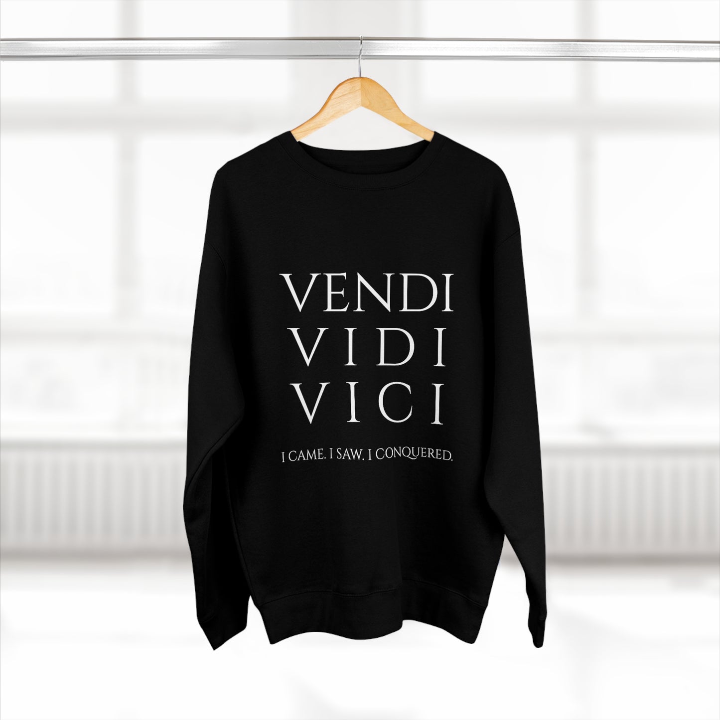 VENI VIDI VICI - Unisex Premium Crewneck Sweatshirt - Gift for Her or Him, Novelty Sweatshirt, Streetwear Sweatshirt