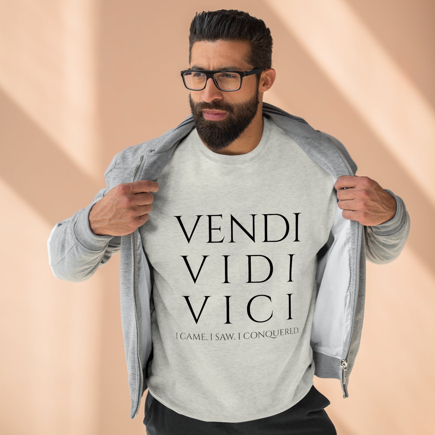 VENI VIDI VICI - Unisex Premium Crewneck Sweatshirt - Gift for Her or Him, Novelty Sweatshirt, Streetwear Sweatshirt