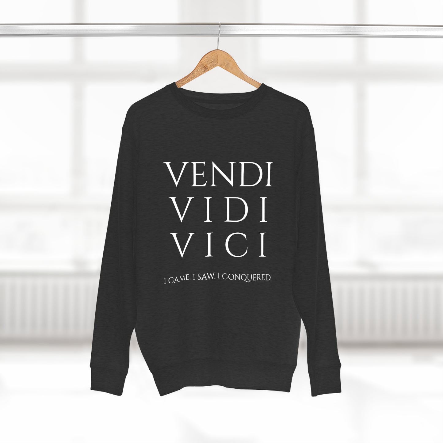 VENI VIDI VICI - Unisex Premium Crewneck Sweatshirt - Gift for Her or Him, Novelty Sweatshirt, Streetwear Sweatshirt