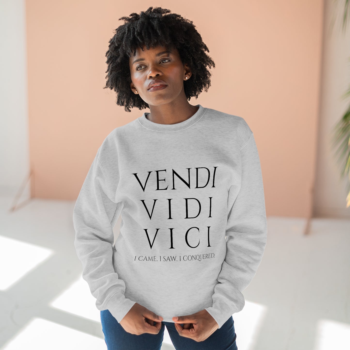 VENI VIDI VICI - Unisex Premium Crewneck Sweatshirt - Gift for Her or Him, Novelty Sweatshirt, Streetwear Sweatshirt