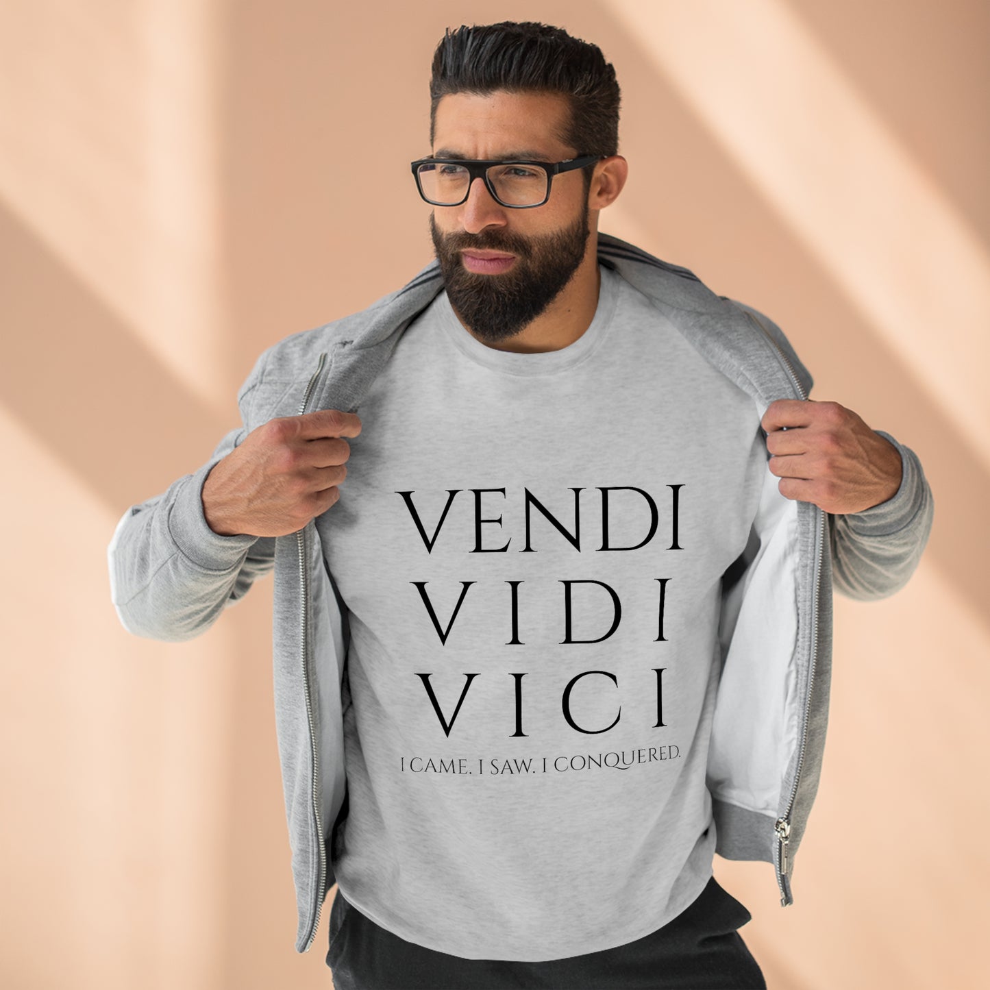 VENI VIDI VICI - Unisex Premium Crewneck Sweatshirt - Gift for Her or Him, Novelty Sweatshirt, Streetwear Sweatshirt