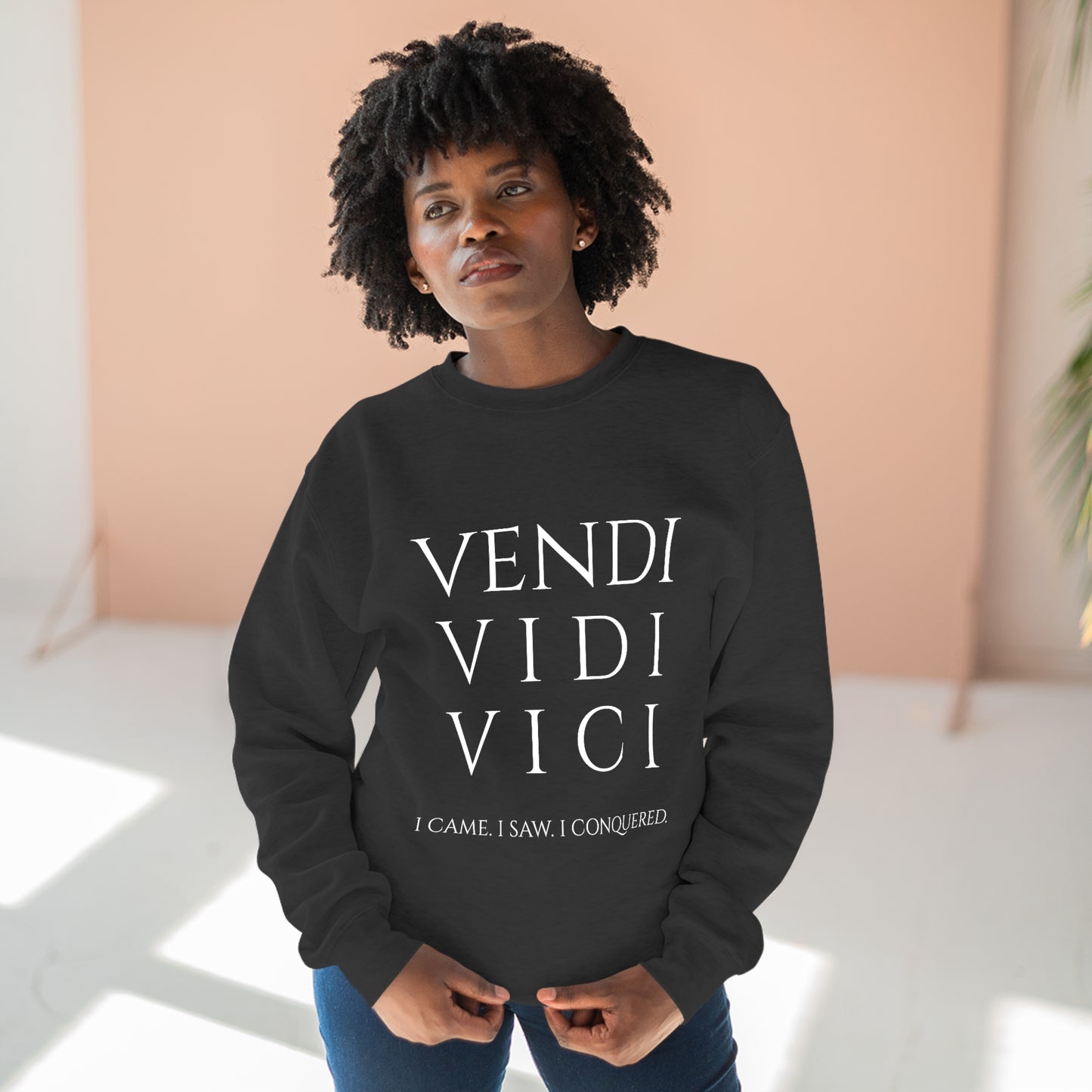 VENI VIDI VICI - Unisex Premium Crewneck Sweatshirt - Gift for Her or Him, Novelty Sweatshirt, Streetwear Sweatshirt